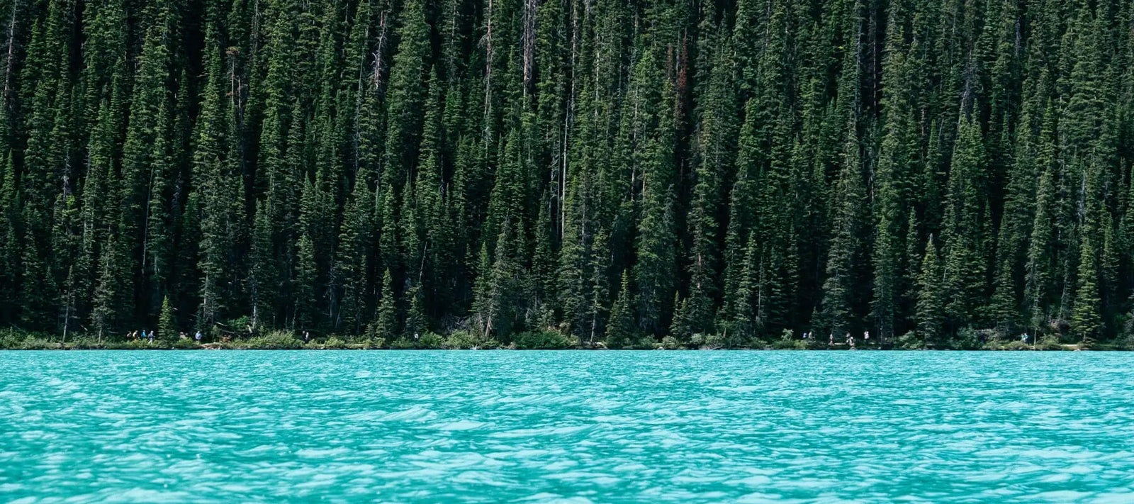 ëClean cleaning saves water and doesn't utilize harsh chemicals that harm the environment.