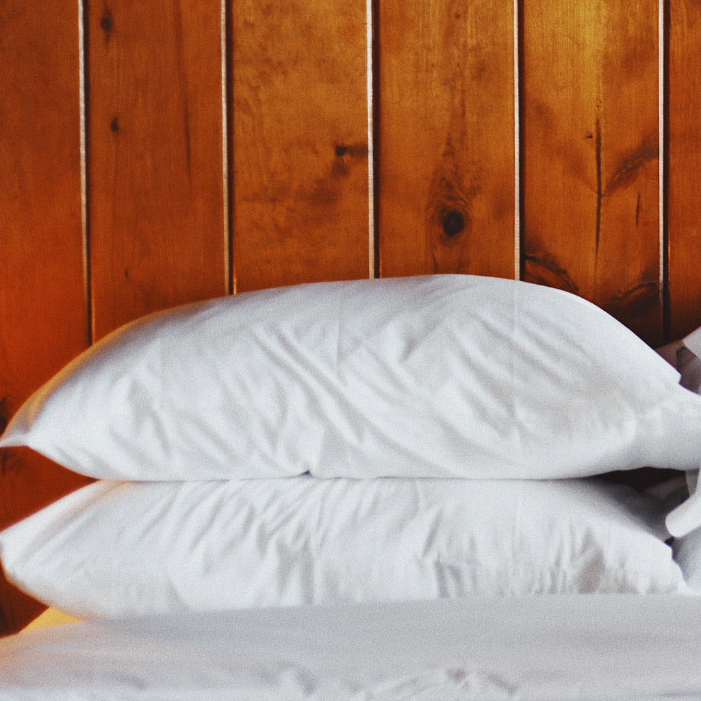 Down Pillow Cleaning